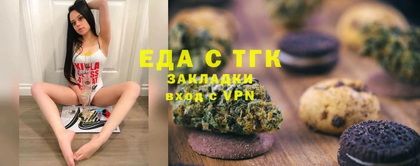 ПСИЛОЦИБИНОВЫЕ ГРИБЫ Инта