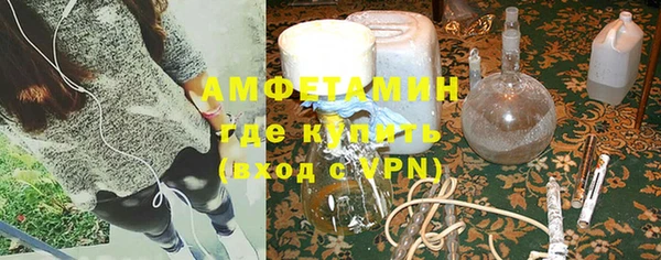 ПСИЛОЦИБИНОВЫЕ ГРИБЫ Инта