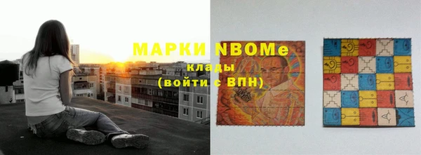 ПСИЛОЦИБИНОВЫЕ ГРИБЫ Инта