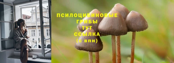 кокаин колумбия Инсар