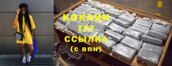 ПСИЛОЦИБИНОВЫЕ ГРИБЫ Инта