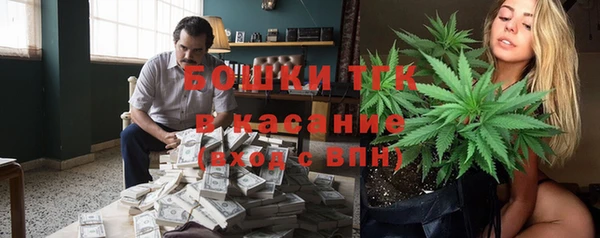ПСИЛОЦИБИНОВЫЕ ГРИБЫ Инта