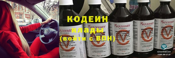 дживик Иннополис