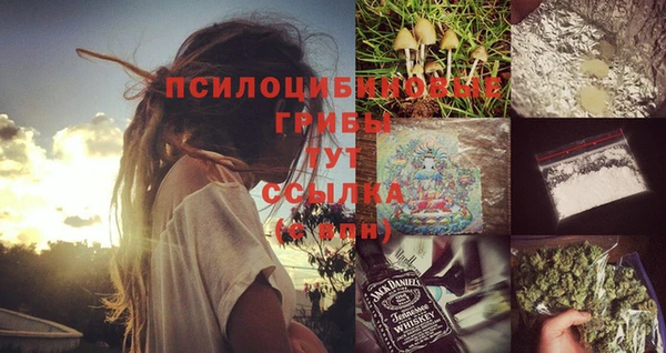 дживик Иннополис
