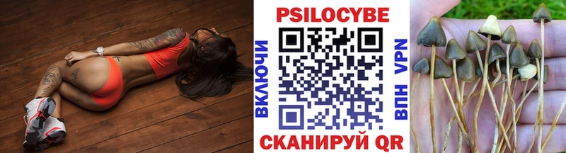Галлюциногенные грибы GOLDEN TEACHER  цены наркотик  Новочеркасск 