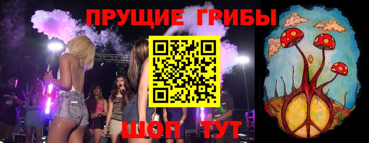 Псилоцибиновые грибы ЛСД Новочеркасск
