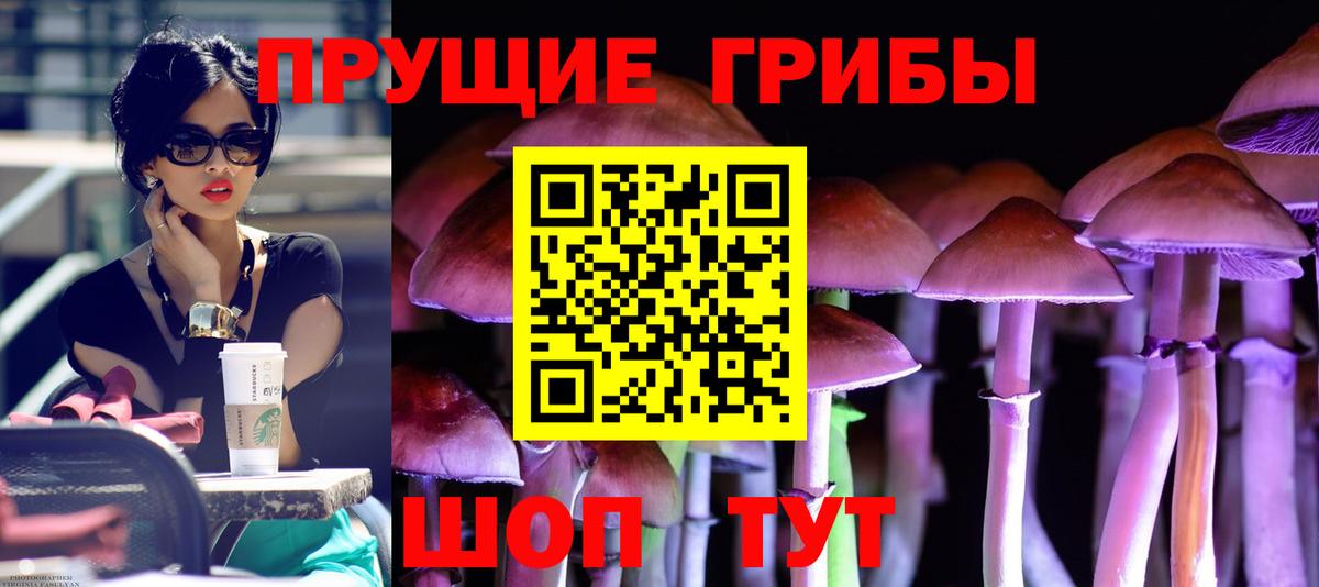 Галлюциногенные грибы MAGIC MUSHROOMS  хочу   Новочеркасск  Вход с VPN 